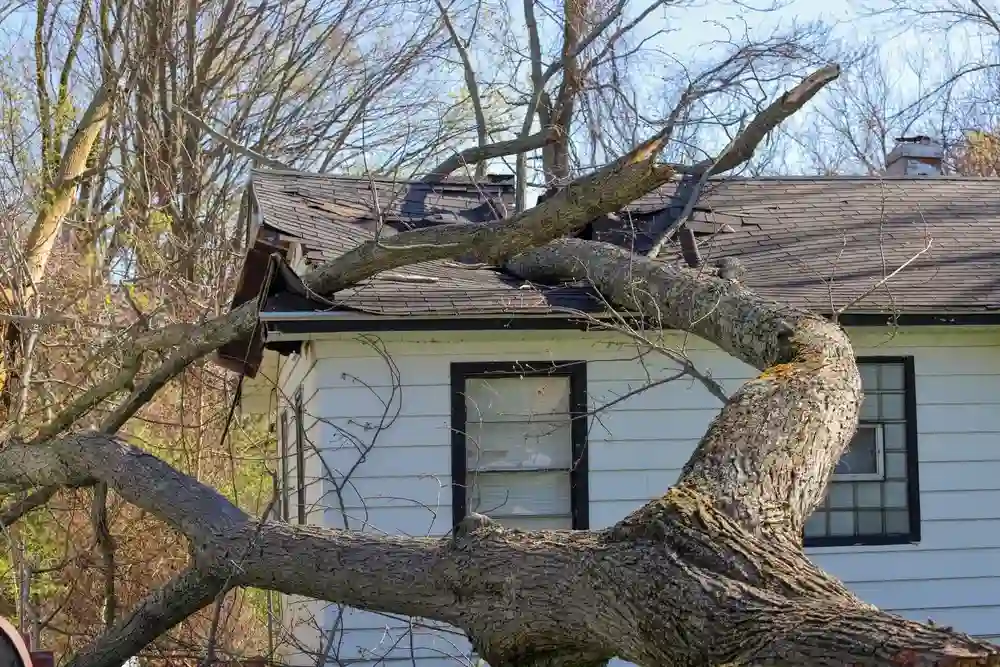 House Without Repairs